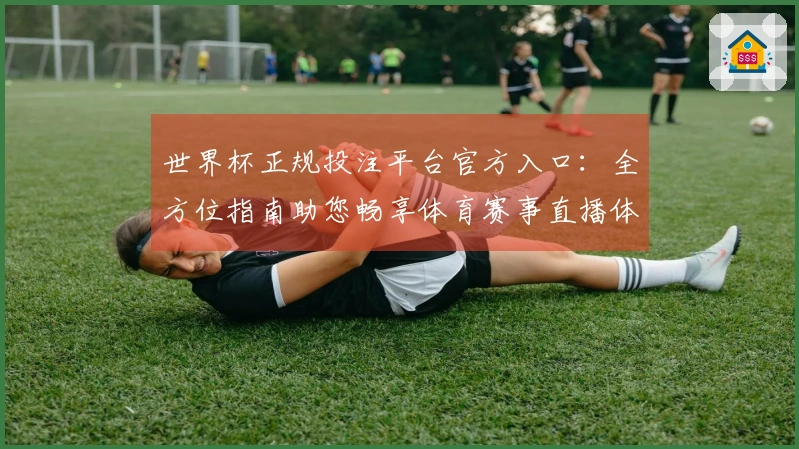 世界杯正规投注平台官方入口：全方位指南助您畅享体育赛事直播体验
