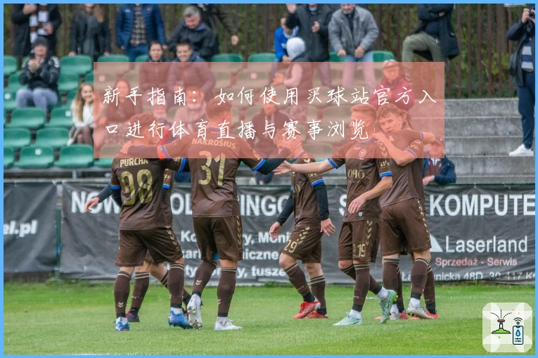 新手指南：如何使用买球站官方入口进行体育直播与赛事浏览
