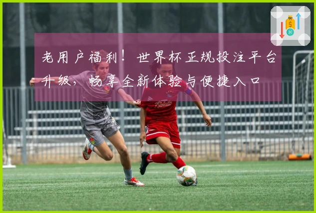 老用户福利！世界杯正规投注平台升级，畅享全新体验与便捷入口